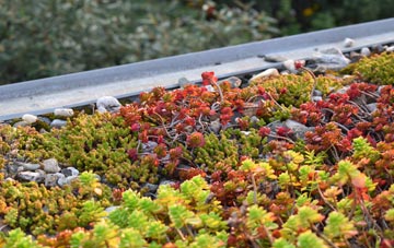 the cost of Trenhorne green roof installation