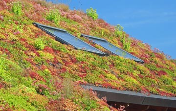 Trenhorne living roof systems