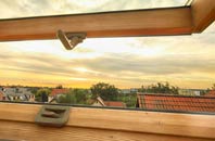 rated Trenhorne roof window companies